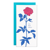 Rose True Love Card